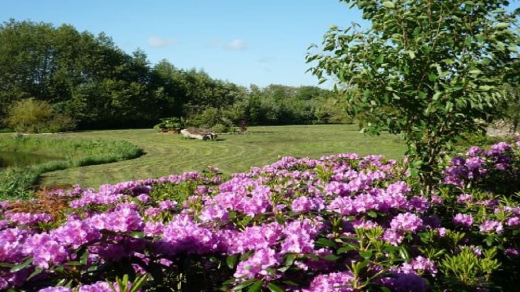 Bauernhof-Camping Ny Vestermark