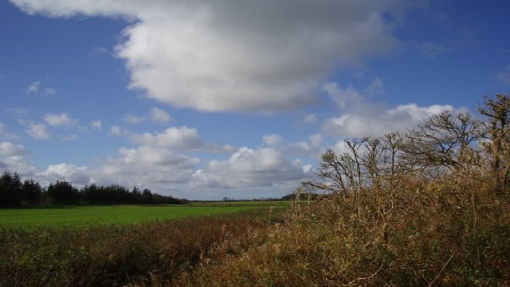 Bauernhof-Camping Ny Vestermark