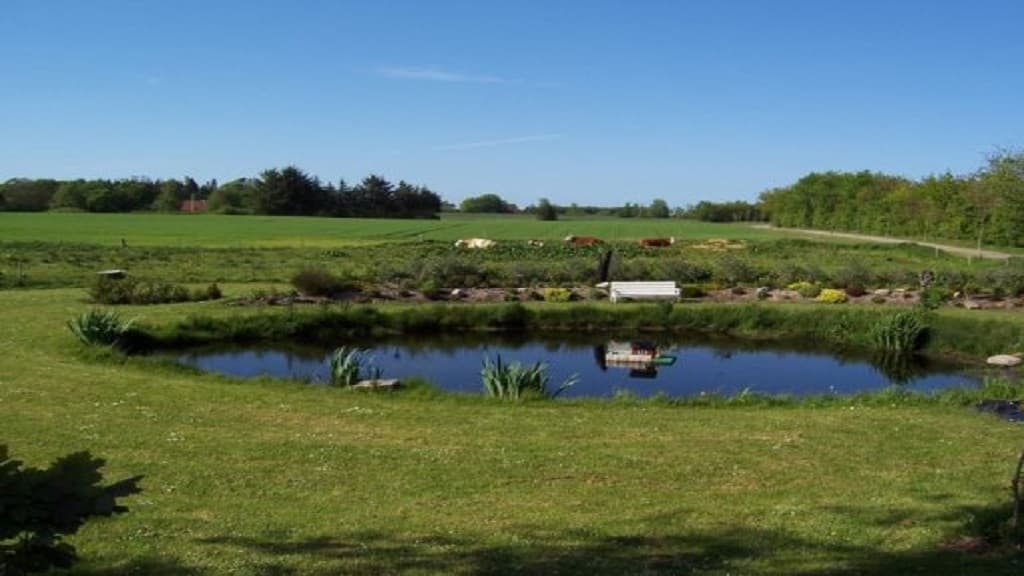 Bauernhof-Camping Ny Vestermark