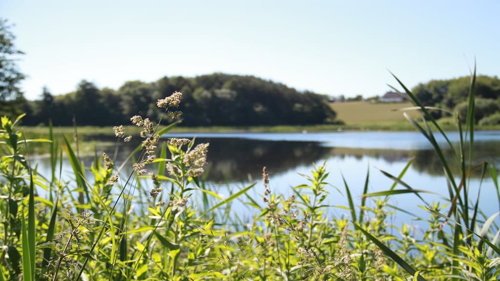 Klokkerholm Møllesø