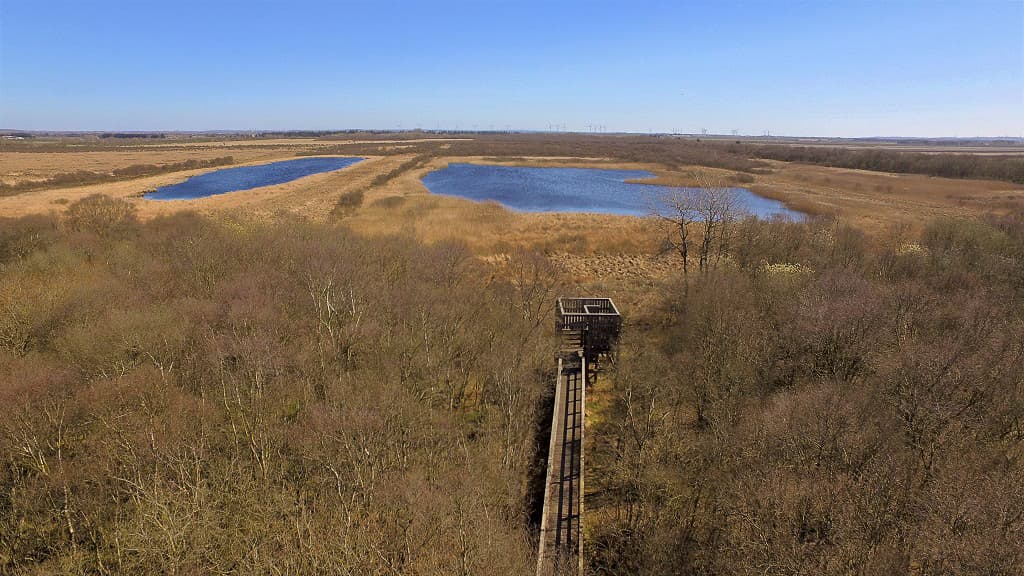 Udkigstårn i Store Vildmose