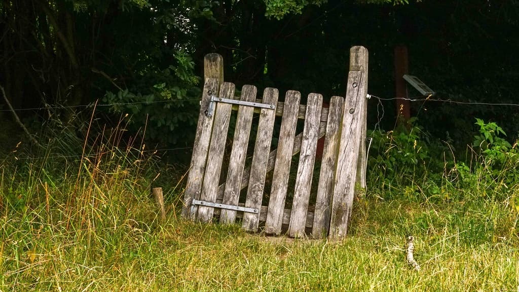 Søheden Skov og Lunken