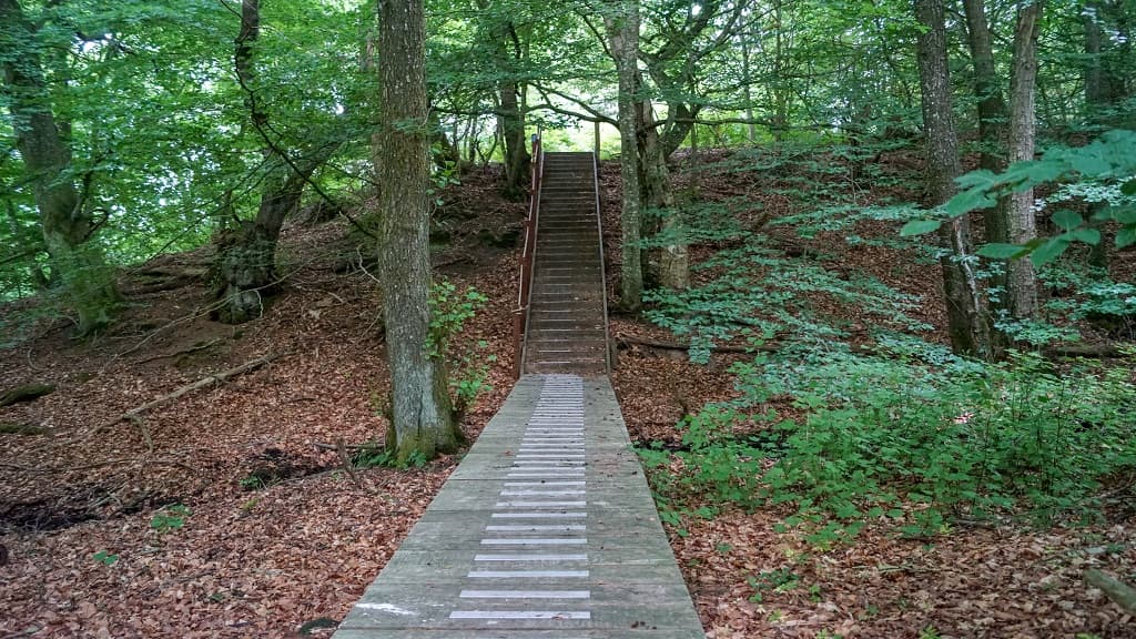 Søheden Skov og Lunken