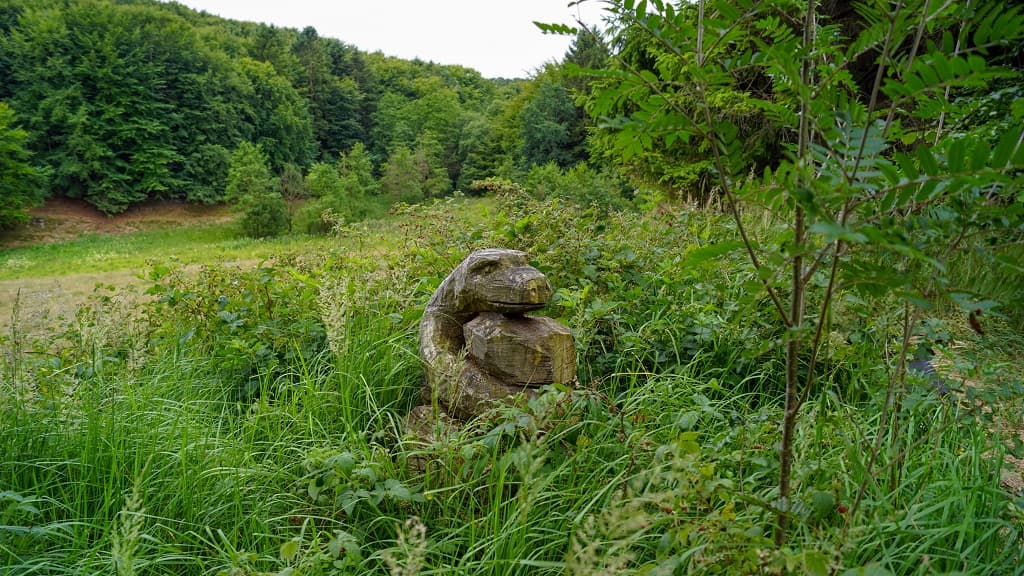 Søheden Skov og Lunken