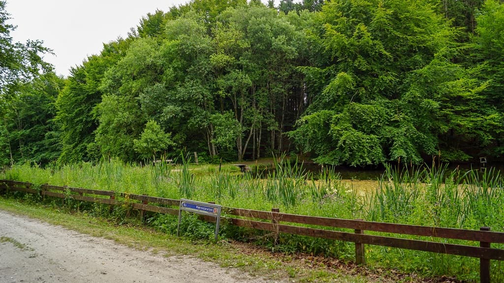 Overnatning i Lunken, Søheden Skov - Jyske Ås