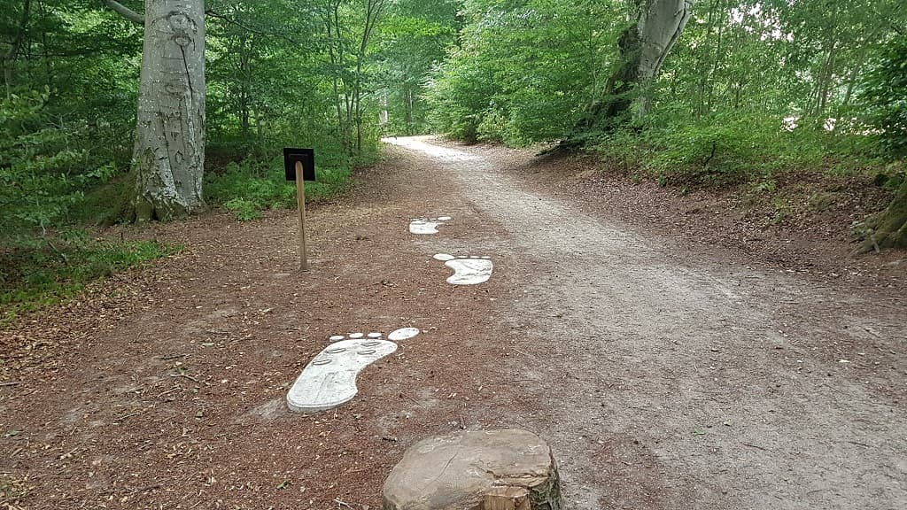 Naturpark Dronninglund