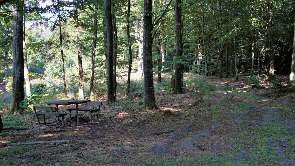Borde og bænke ved sti i Dronninglund Storskov
