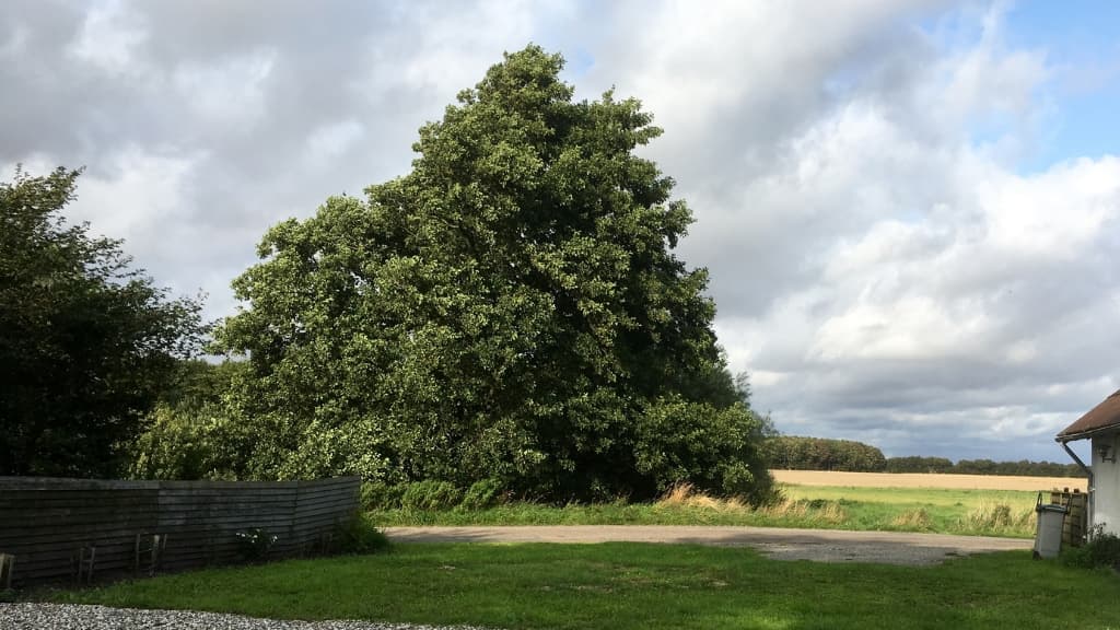 Kulturhuset Ellekær-Gård