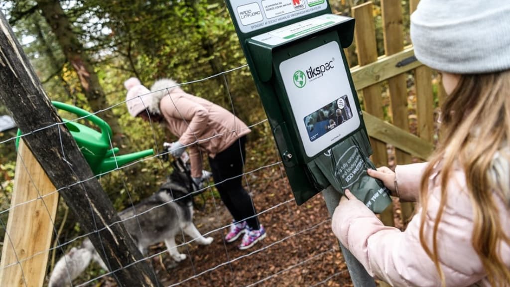 Hundeskov og grillhytte i Ørum