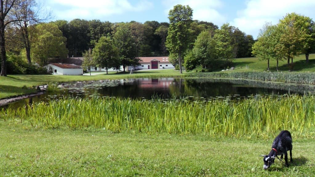 B&B og Hostel Thise Ladegaard