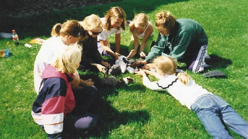 B&B og Hostel Thise Ladegaard