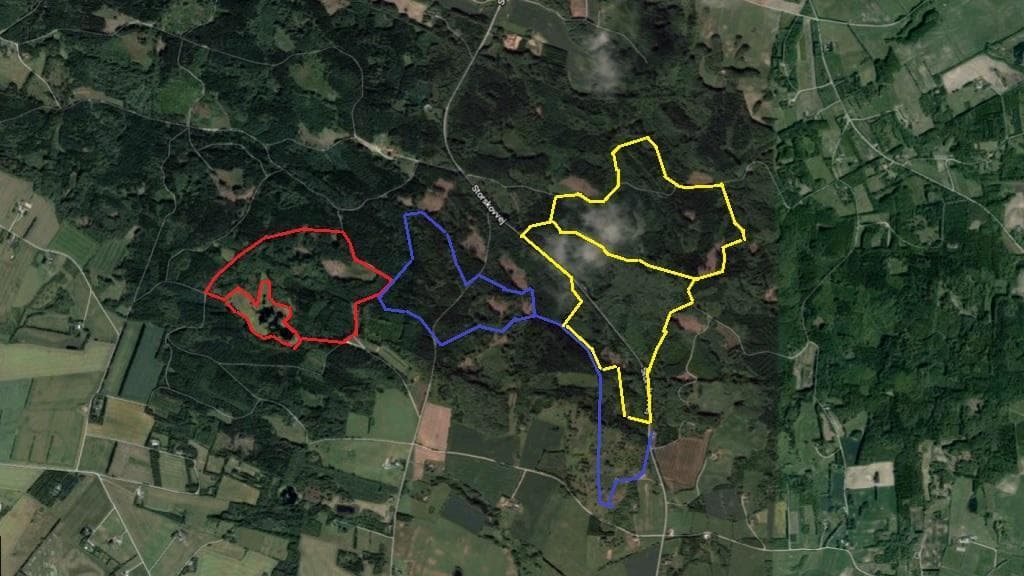 Dronninglund Wald und Sømosen