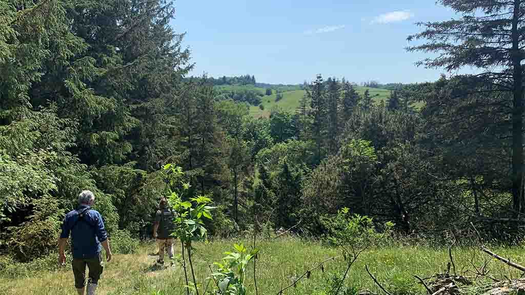 Slettingen i Jyske Ås