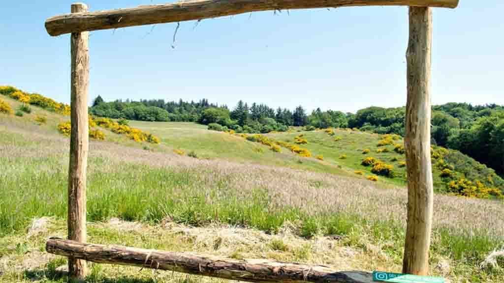 Grevsmosen og Slettingen