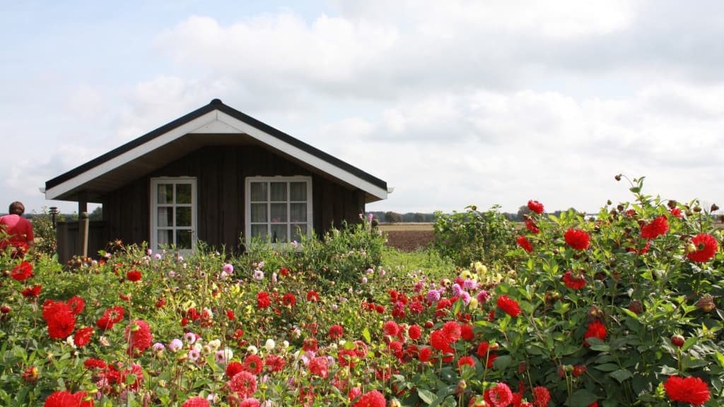 Bed & Breakfast Brønden