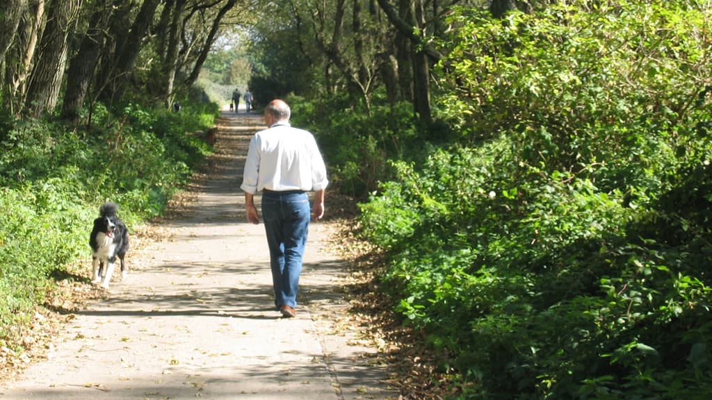 Hundeskov - Hjallerup