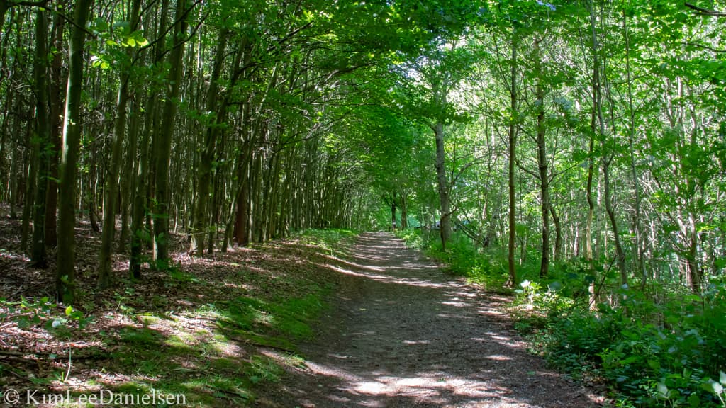 Shelter ved Bergs Plads - tæt på Haderslev Dyrehave
