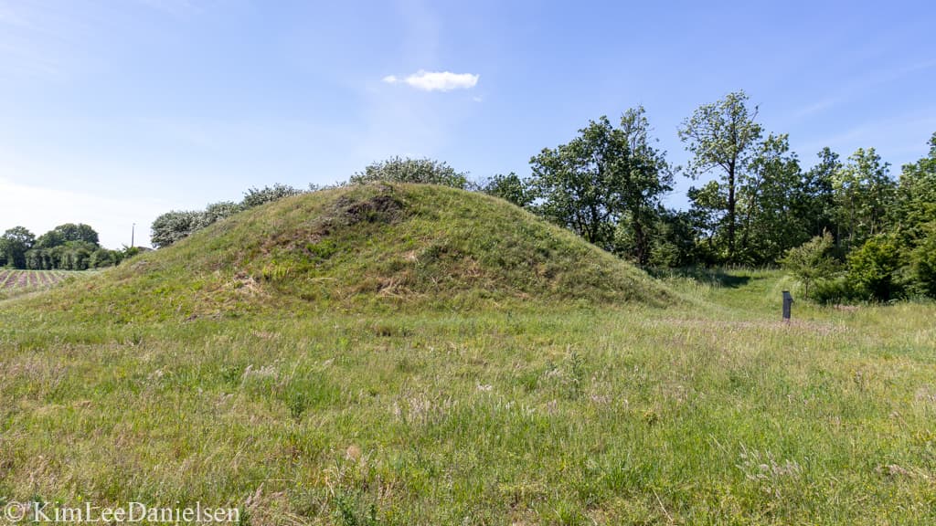 Skrydstruppigens Grav