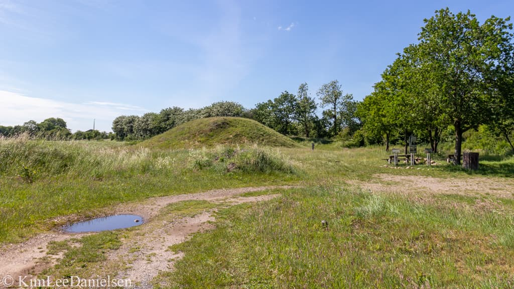 Skrydstruppigens Grav