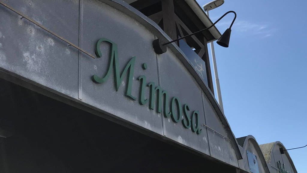 Mimosa Blomster og Vinkrogen