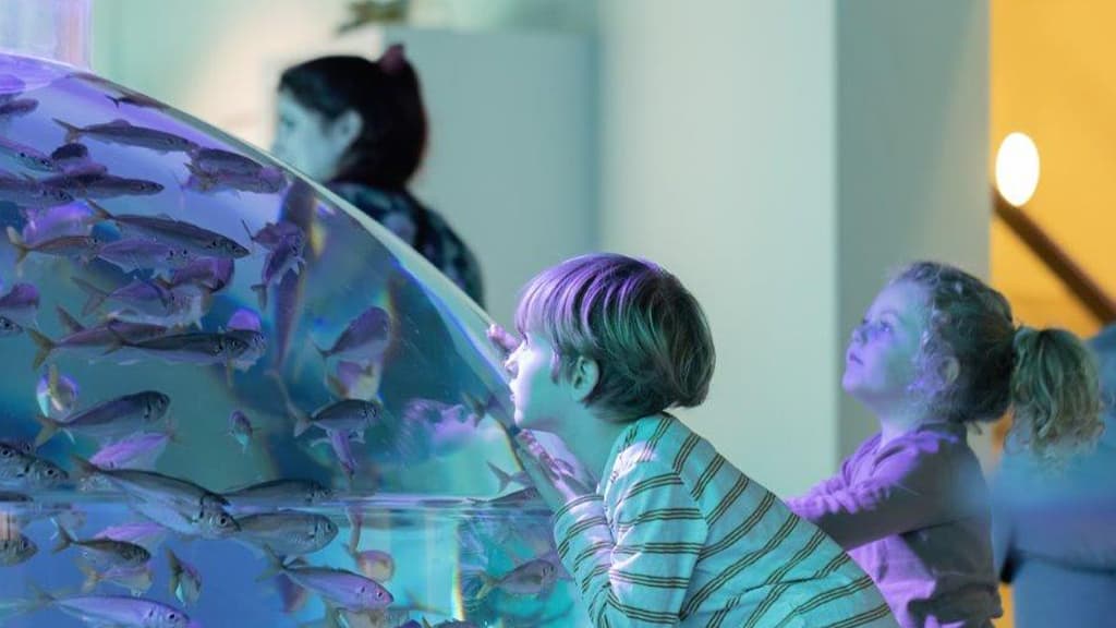 Nordsøen Oceanarium