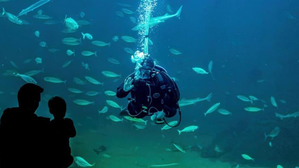 Nordsøen Oceanarium