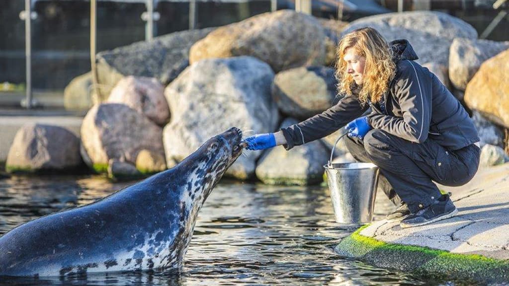Nordsøen Oceanarium