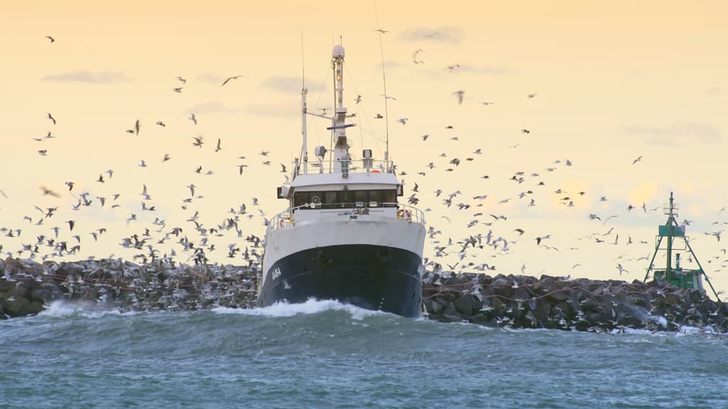 Der Hafen von Hirtshals