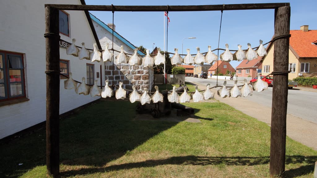 Hirtshals Museum (Regionalmuseum)