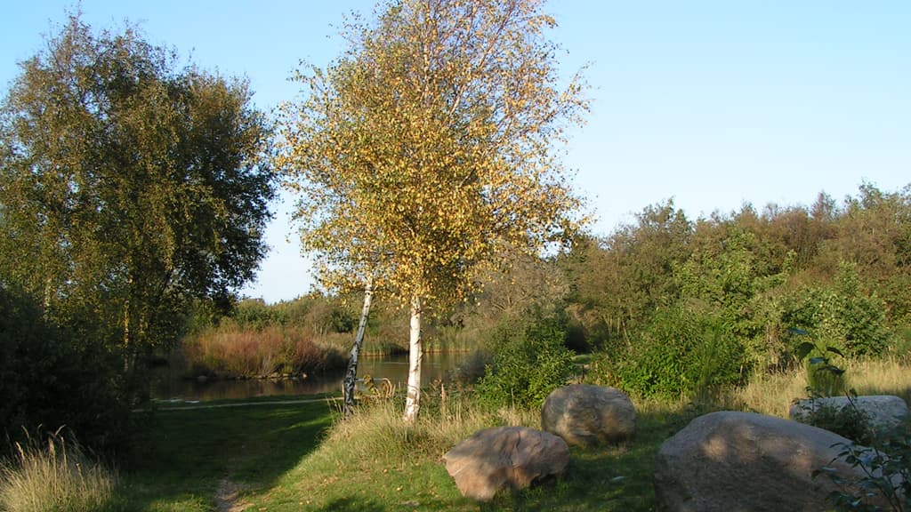 Folkeparken (parkanlagen)