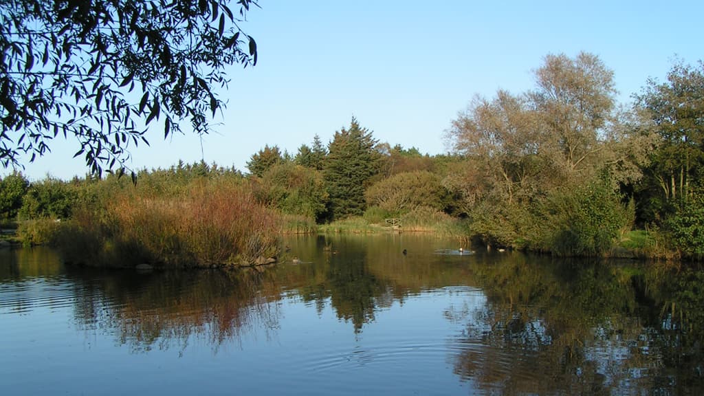 Folkeparken (parkanlagen)