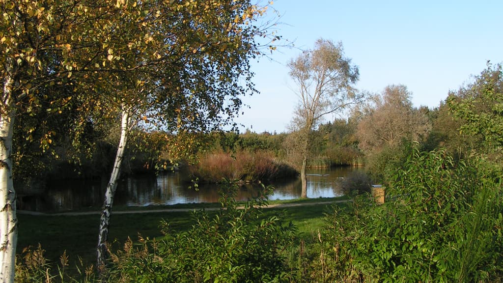 Folkeparken (parkanlagen)