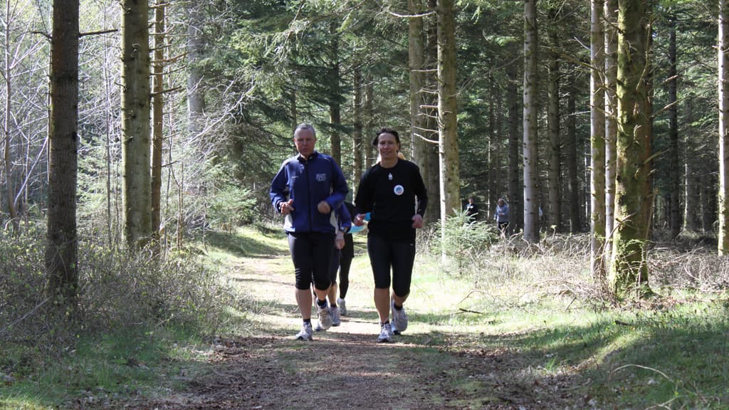 Blokhus GateWay - Blokhus Klitplantage