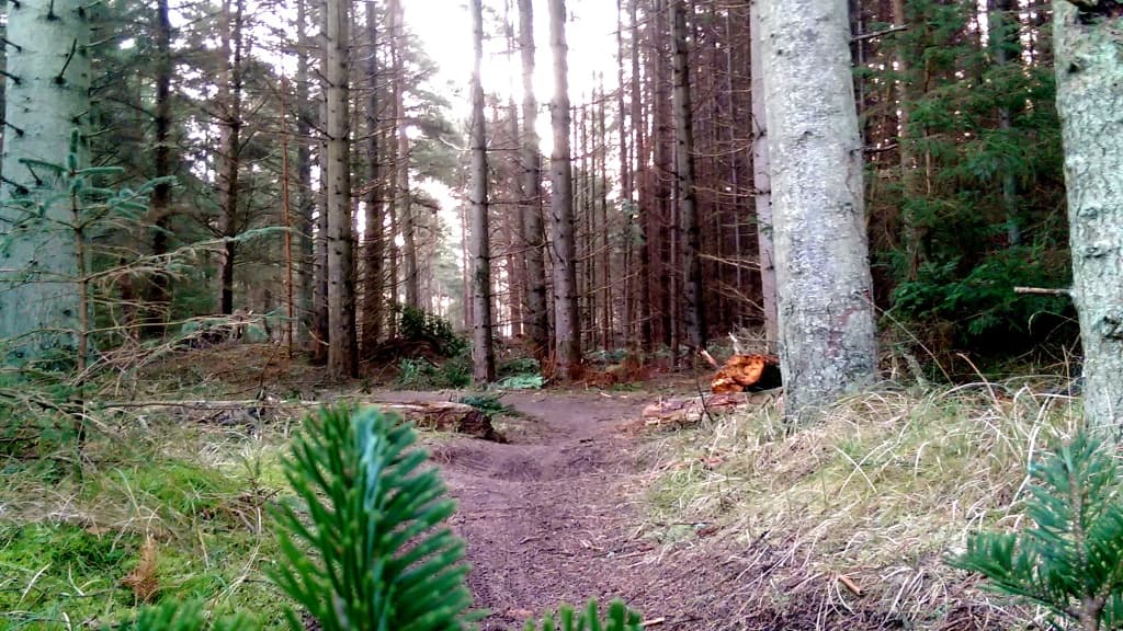 Blokhus GateWay - Blokhus Klitplantage