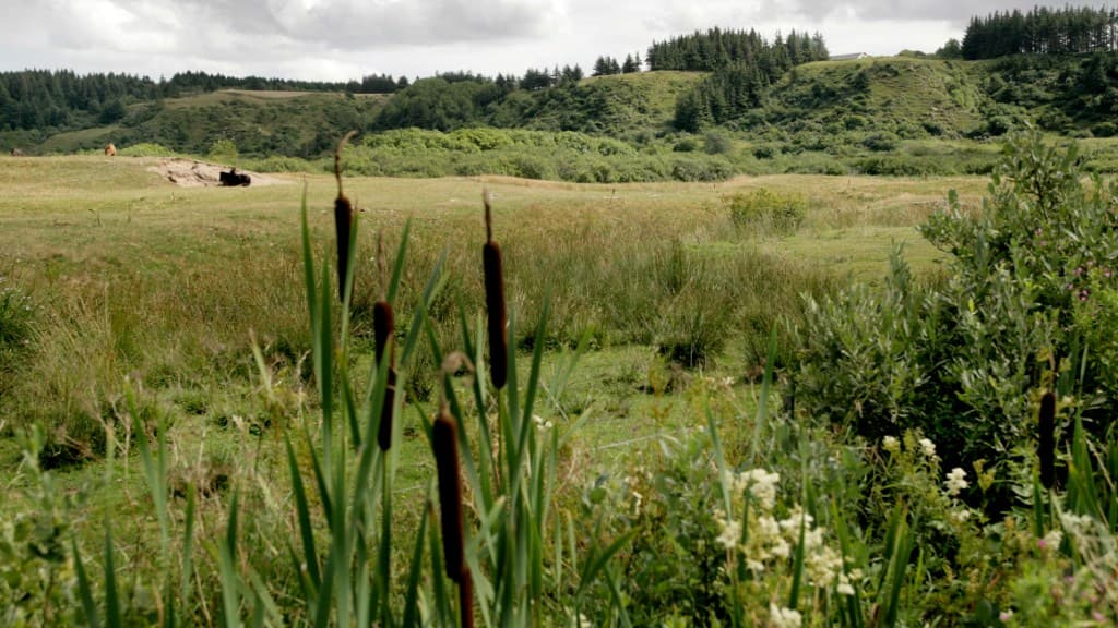 Fosdal og Langdal Plantager