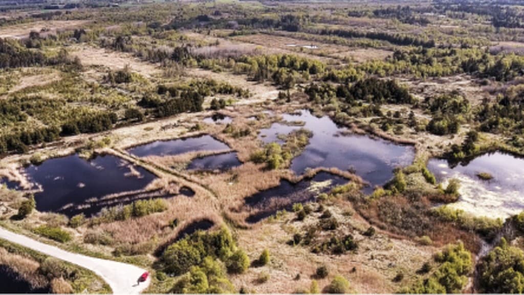 Udholm Aktivitetscenter