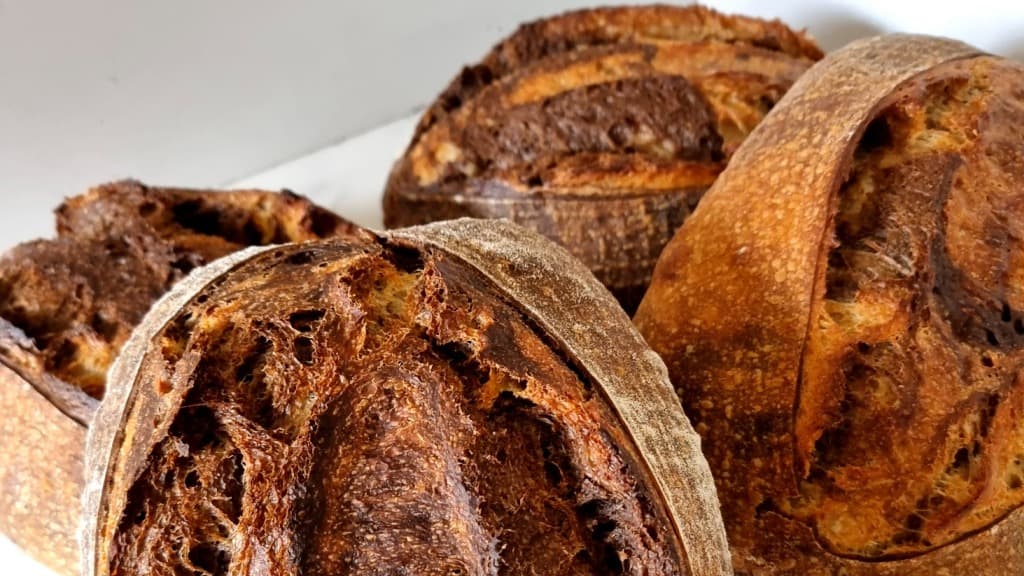 DahlLuther - mikrobageri i Tranum