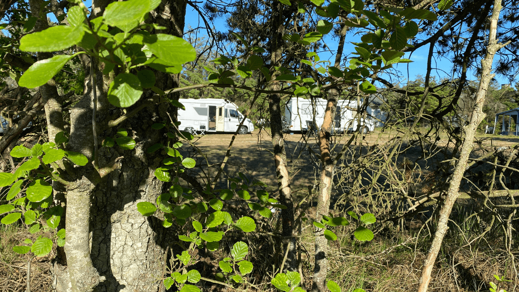 Blokhus Natur Camping