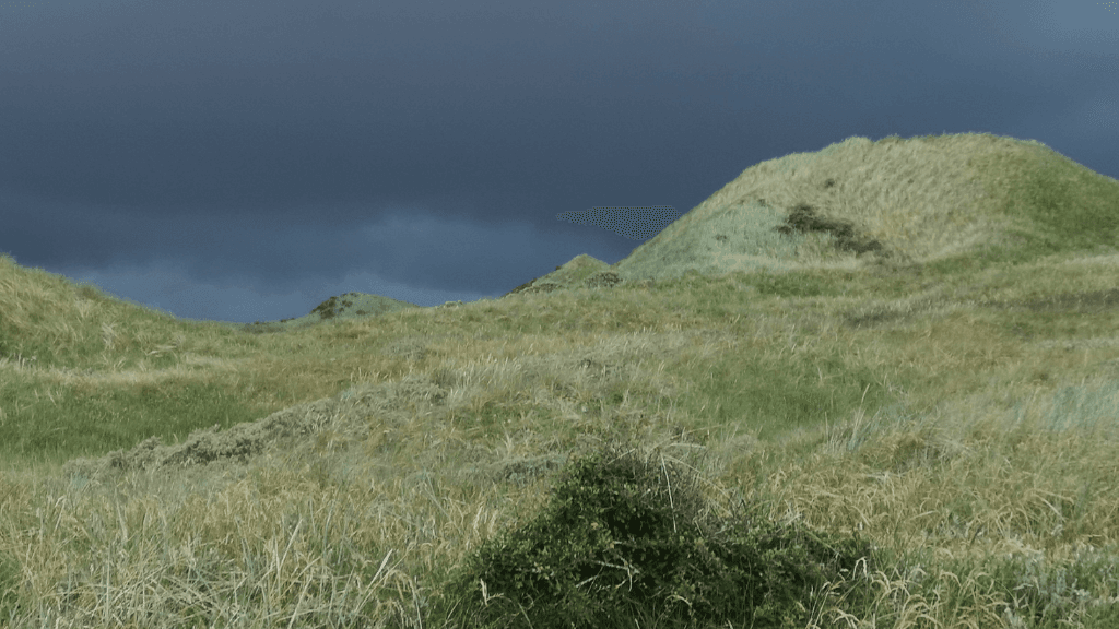 Rødhus Klit Camping