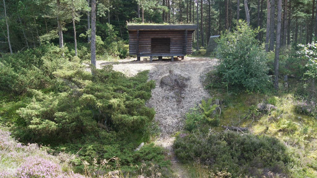 Shelterplads Kollerup