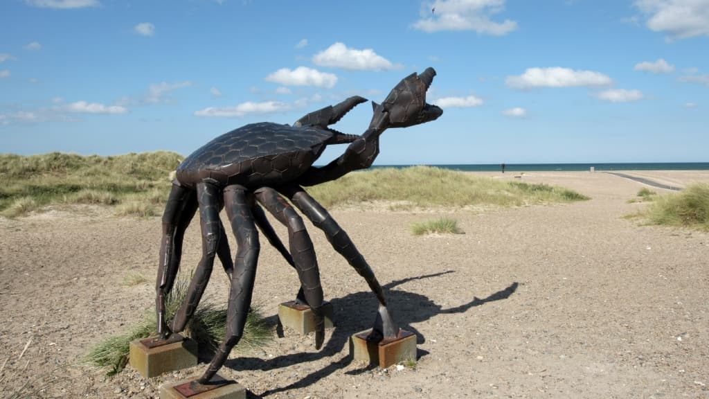 Krabben i Slettestrand