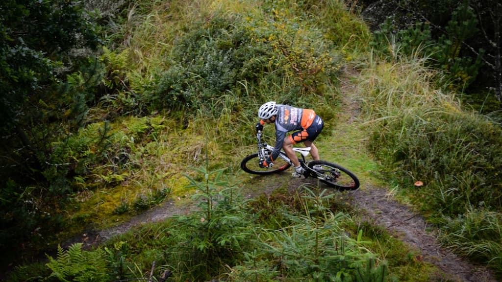 Feriecenter Slettestrand