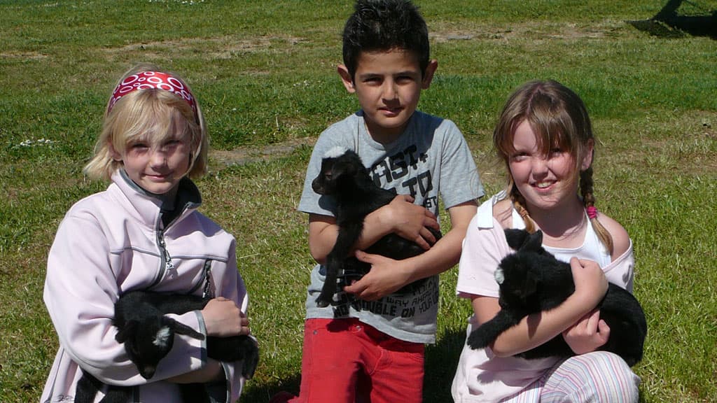 Family Farm Fun Park