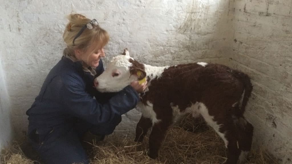 Løkken Bondegaardsferie