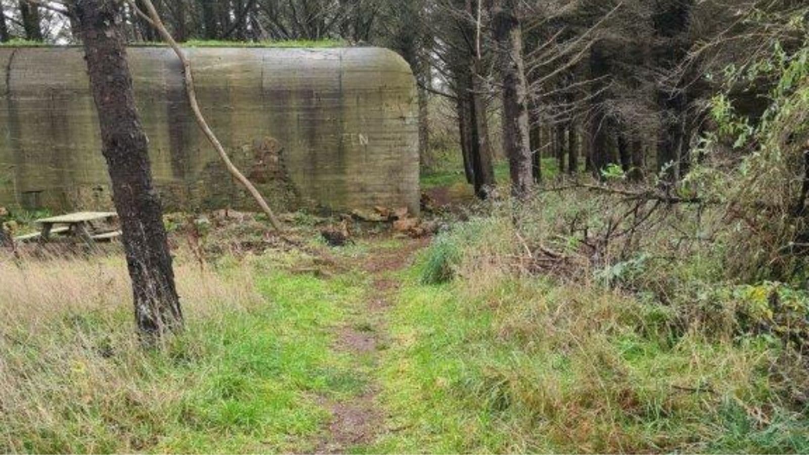 Bunkerne i Løkken og omegn