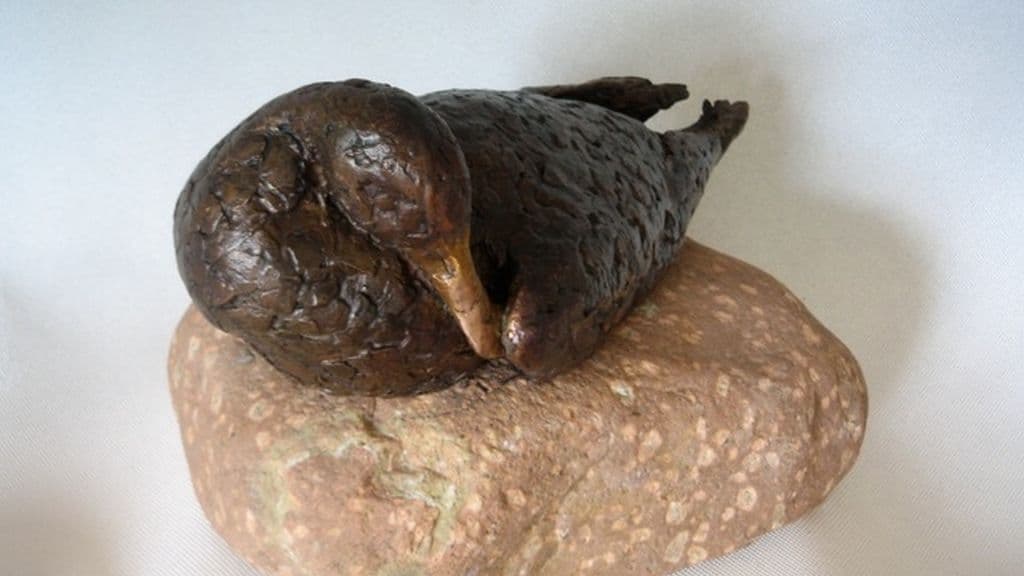 Galleri PondCottage Art