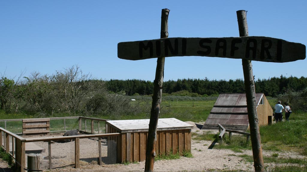 Gl. Klitgaard Camping og Hytteby