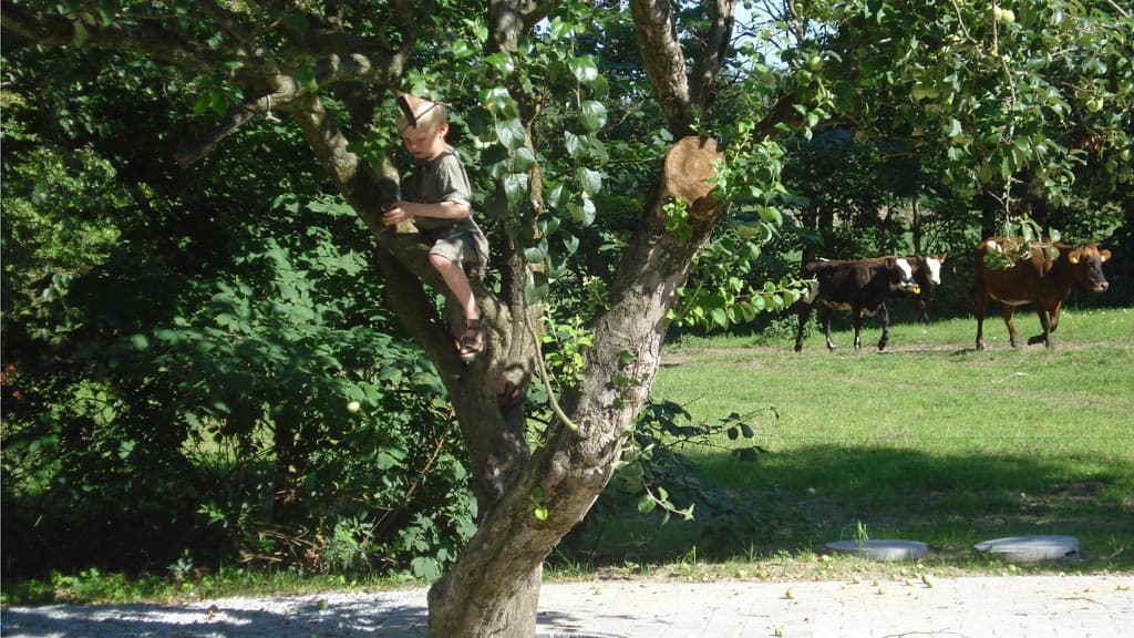 Krogsøgård helårs feriehus på landet