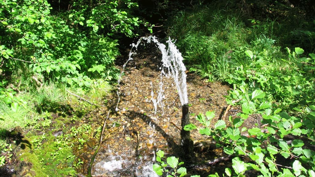 Springkilden (Quelle)