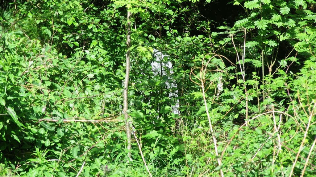 Springkilden (Quelle)